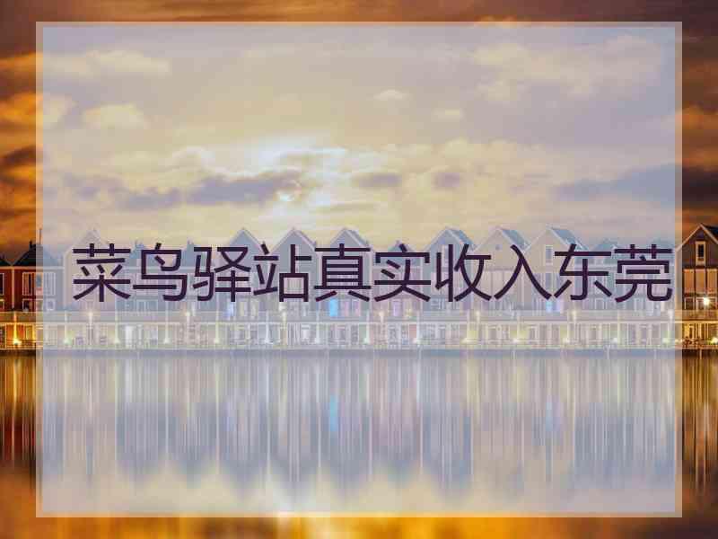 菜鸟驿站真实收入东莞