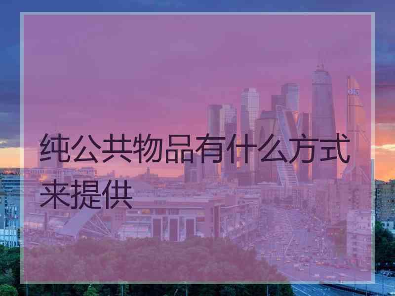 纯公共物品有什么方式来提供