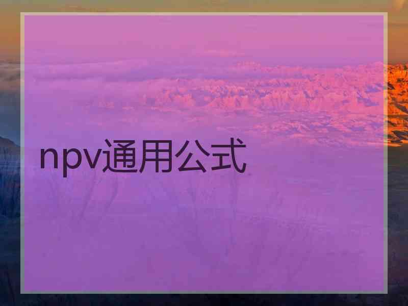 npv通用公式