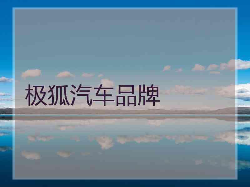 极狐汽车品牌