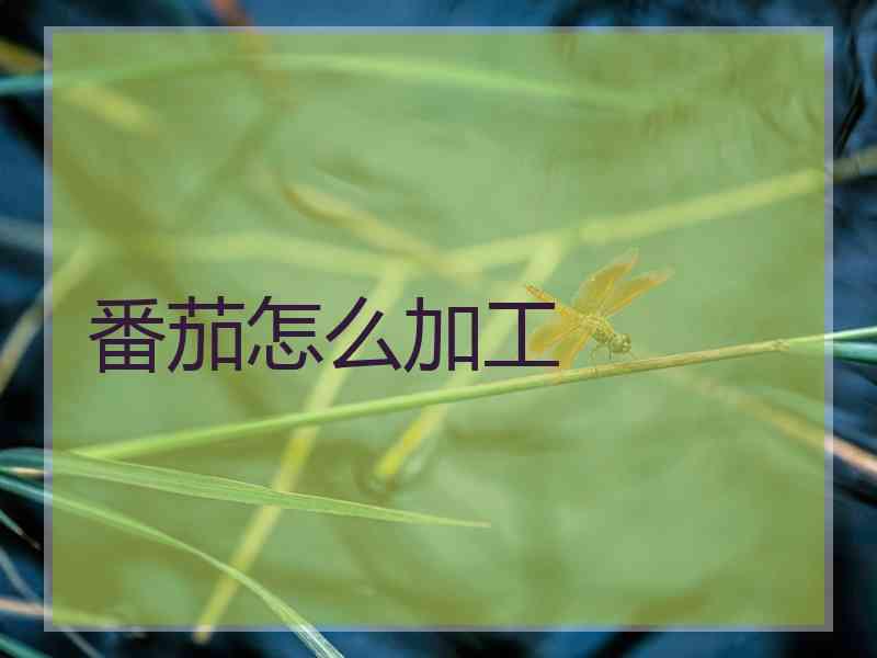 番茄怎么加工