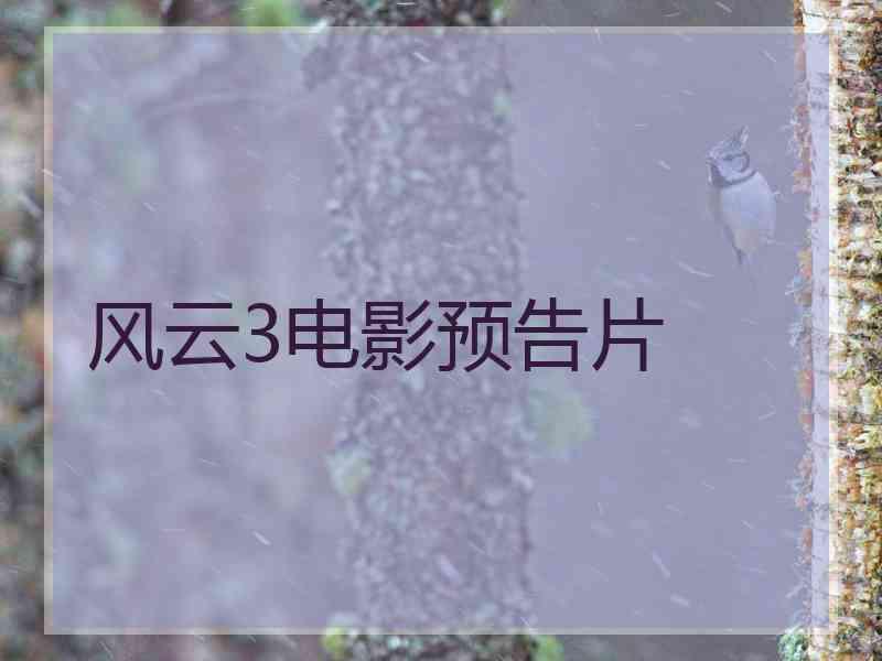 风云3电影预告片