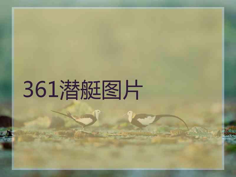 361潜艇图片