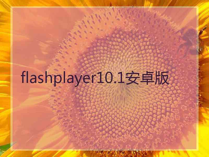 flashplayer10.1安卓版