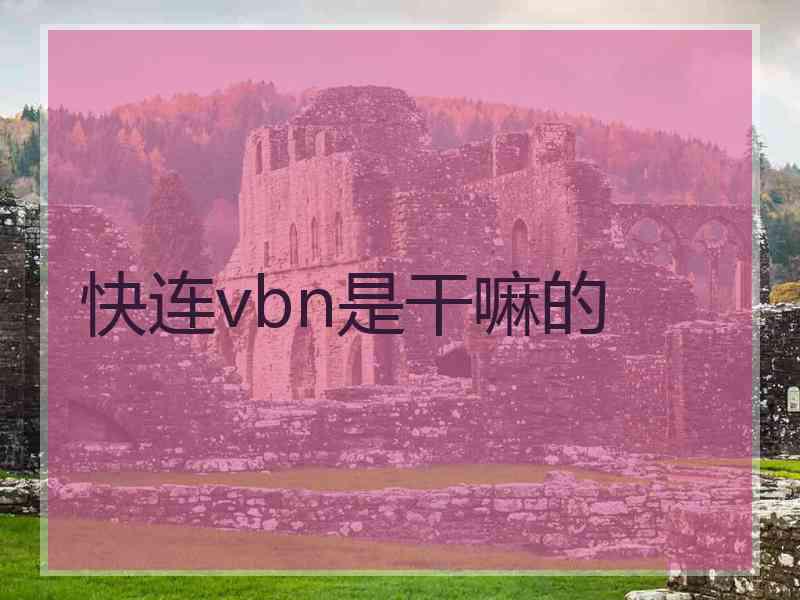快连vbn是干嘛的