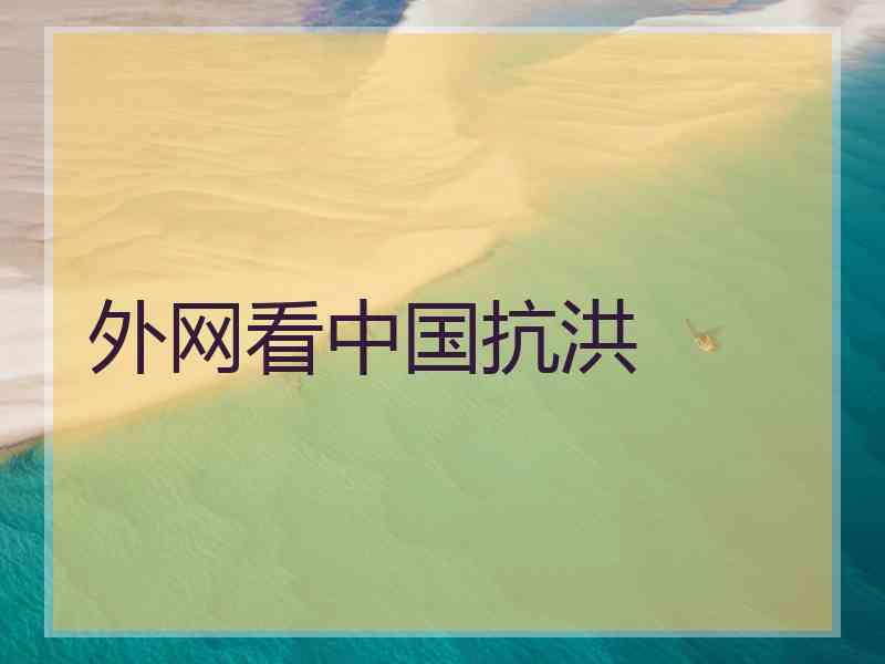 外网看中国抗洪