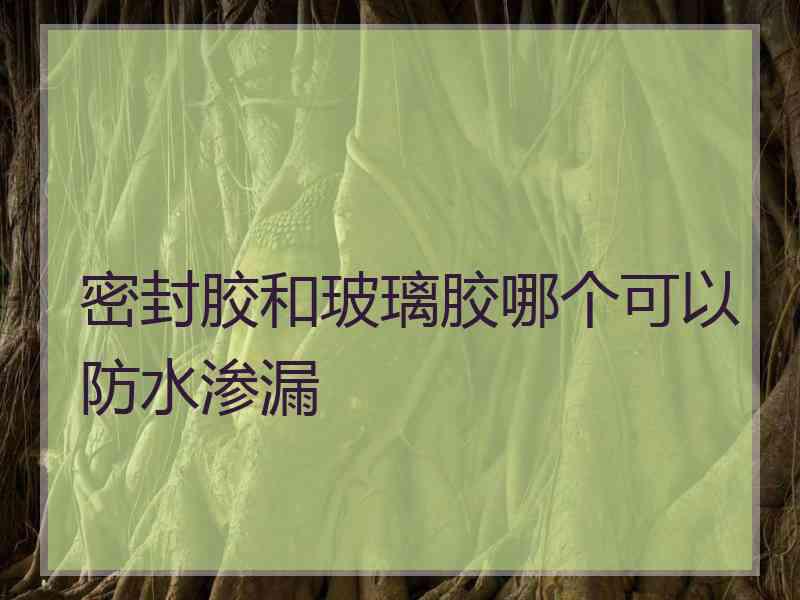 密封胶和玻璃胶哪个可以防水渗漏