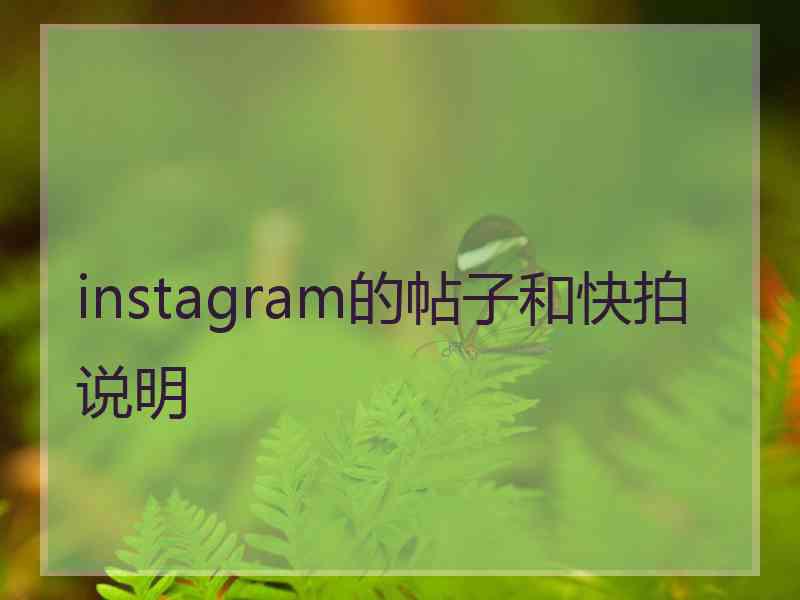 instagram的帖子和快拍说明