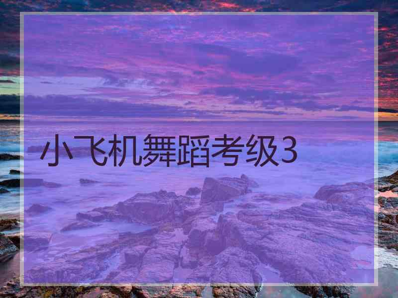小飞机舞蹈考级3