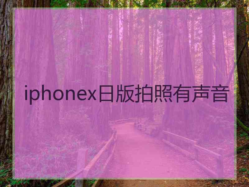 iphonex日版拍照有声音