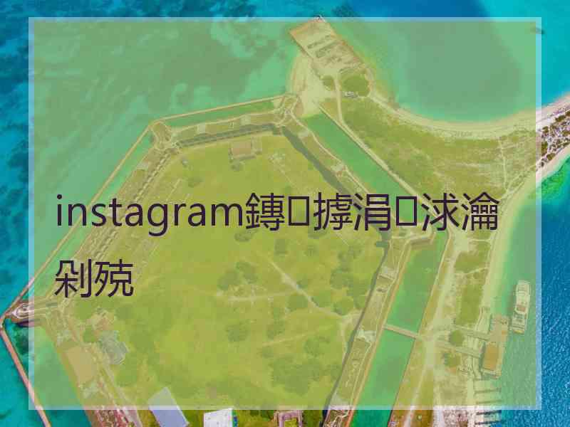 instagram鏄摢涓浗瀹剁殑