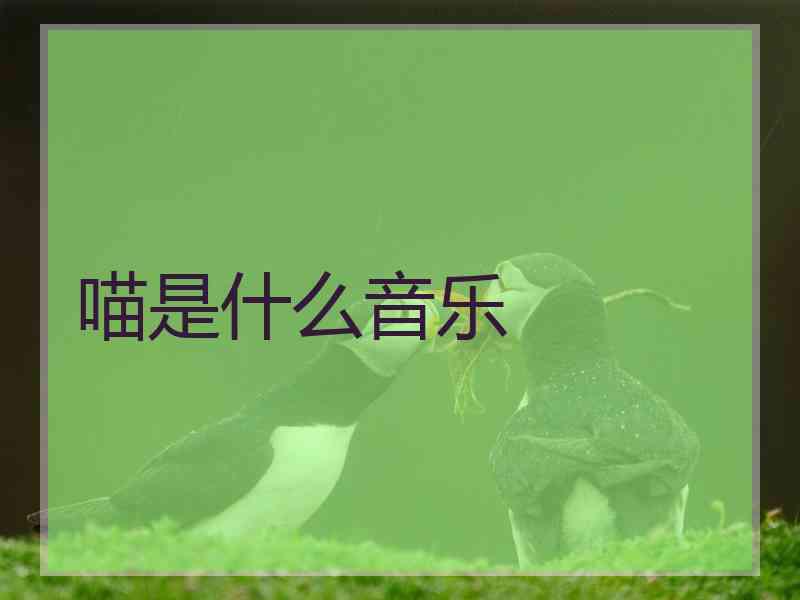 喵是什么音乐
