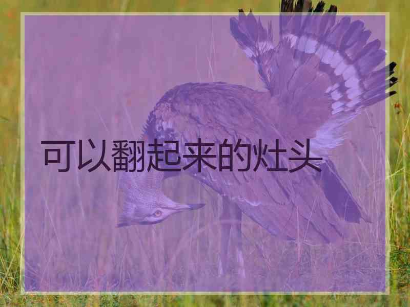 可以翻起来的灶头