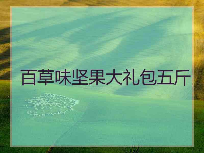 百草味坚果大礼包五斤