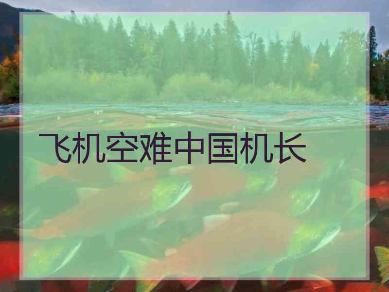 飞机空难中国机长