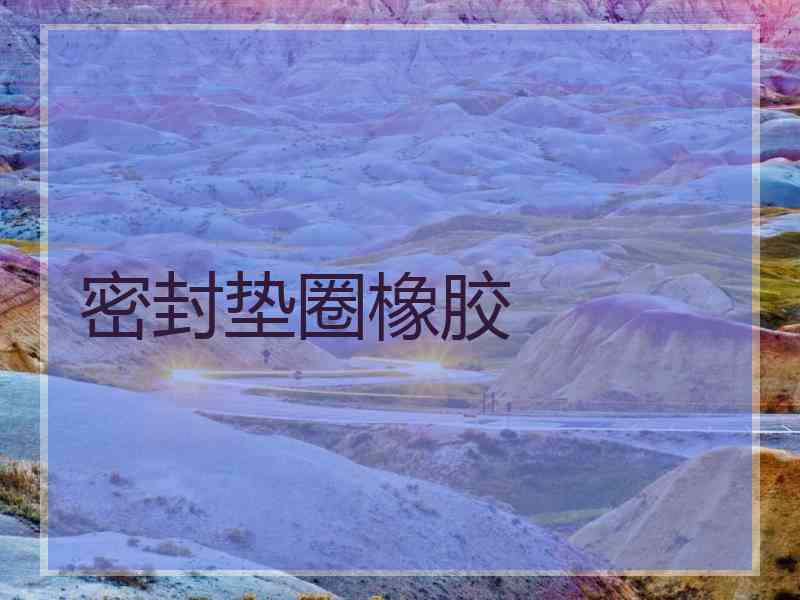 密封垫圈橡胶