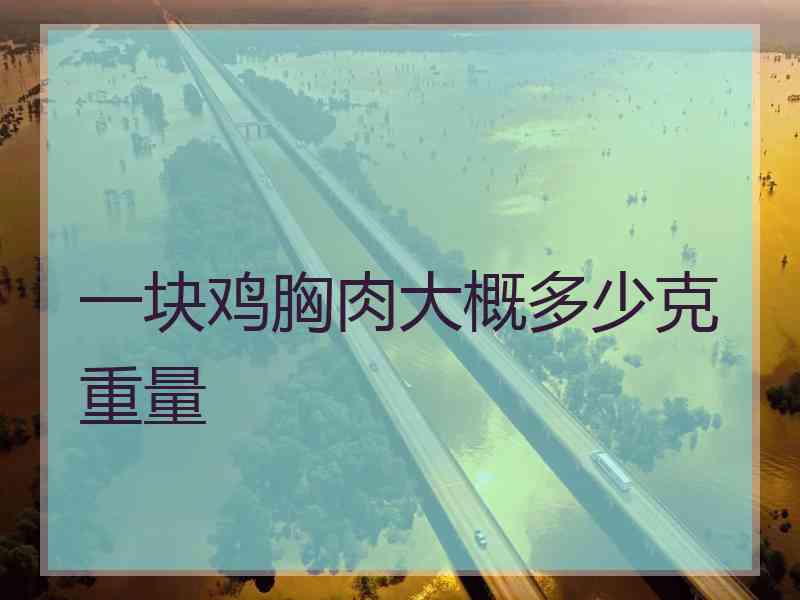 一块鸡胸肉大概多少克重量