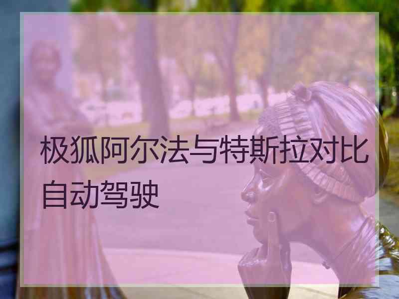 极狐阿尔法与特斯拉对比自动驾驶