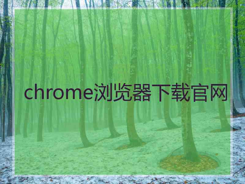 chrome浏览器下载官网