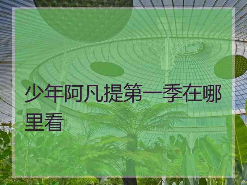 少年阿凡提第一季在哪里看