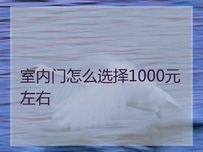 室内门怎么选择1000元左右