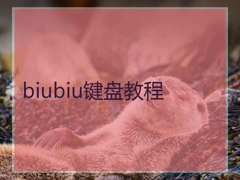 biubiu键盘教程