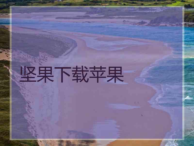 坚果下载苹果