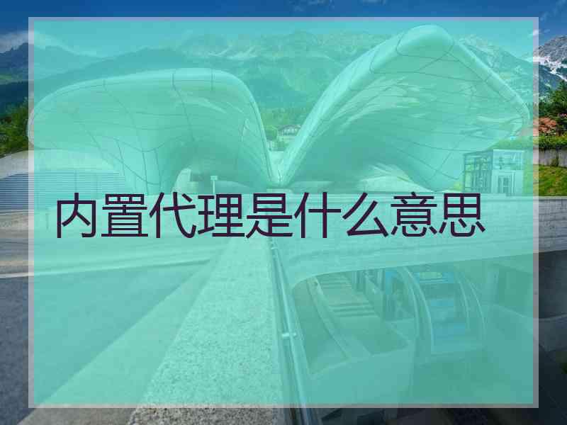 内置代理是什么意思