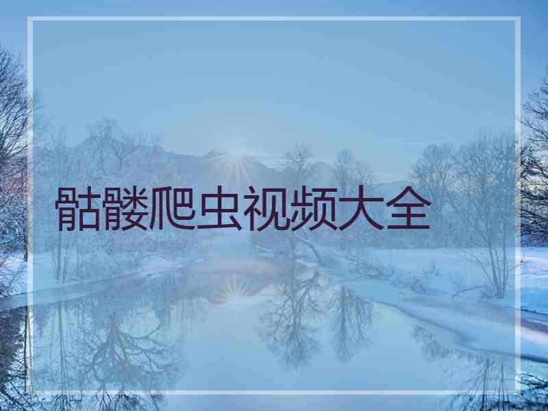 骷髅爬虫视频大全