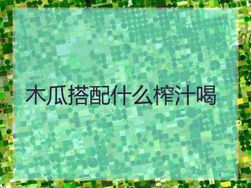 木瓜搭配什么榨汁喝
