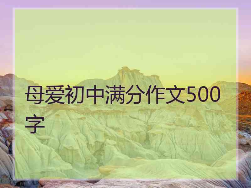 母爱初中满分作文500字