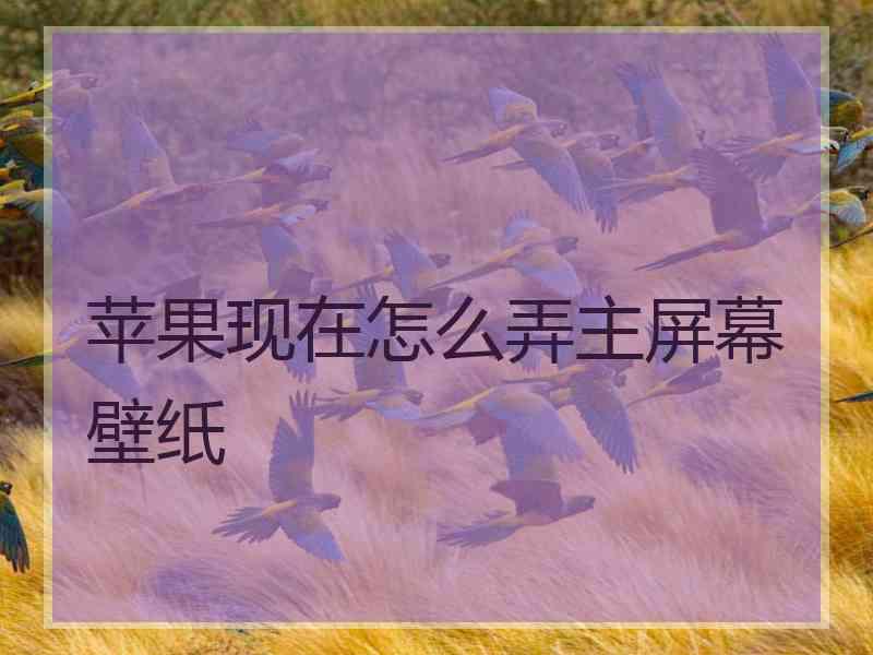苹果现在怎么弄主屏幕壁纸