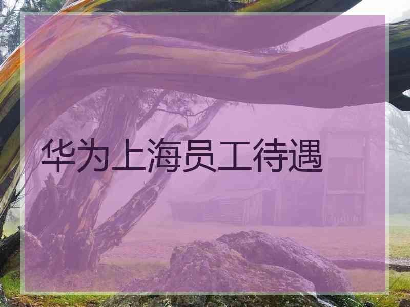 华为上海员工待遇