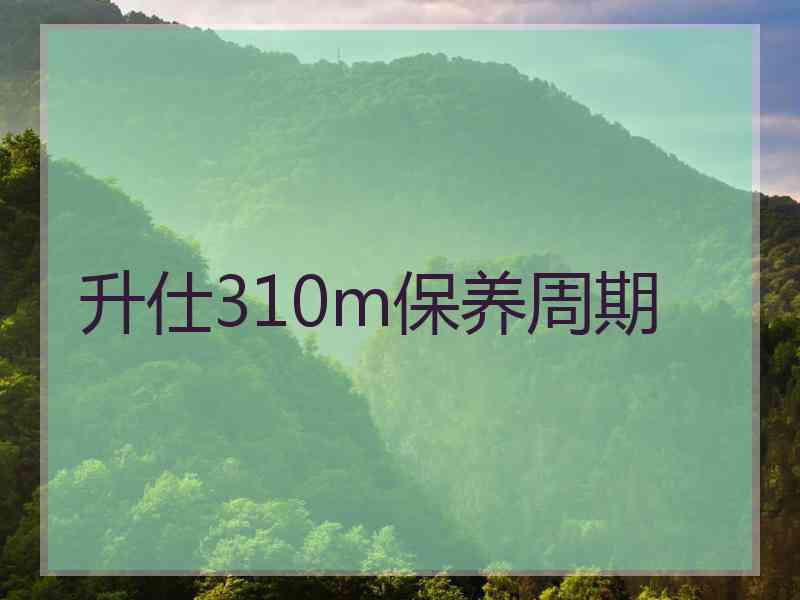 升仕310m保养周期