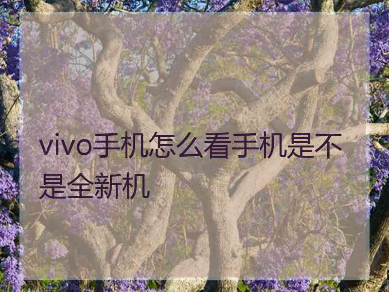 vivo手机怎么看手机是不是全新机