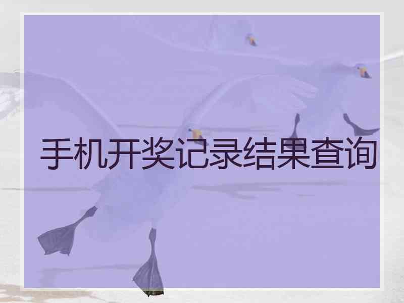 手机开奖记录结果查询