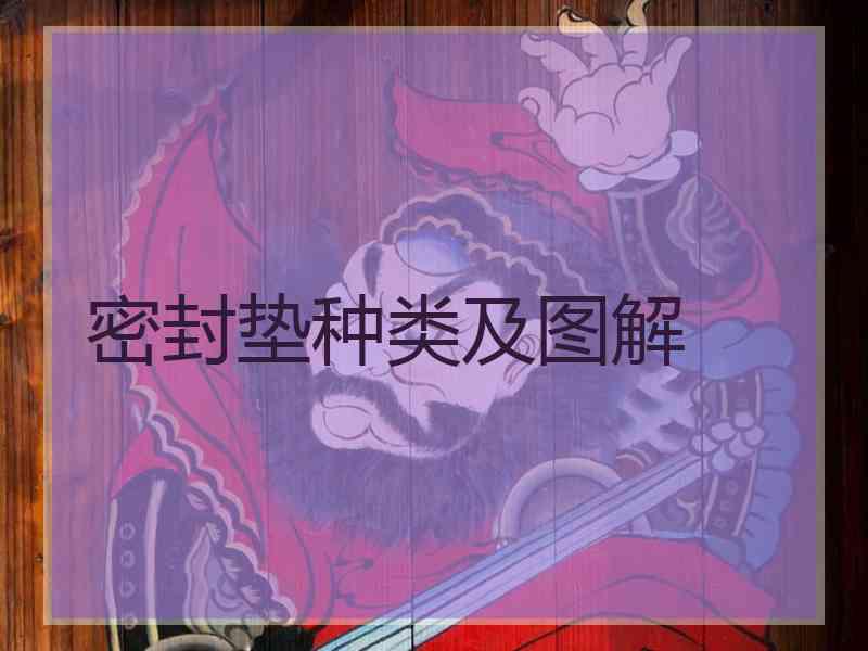 密封垫种类及图解