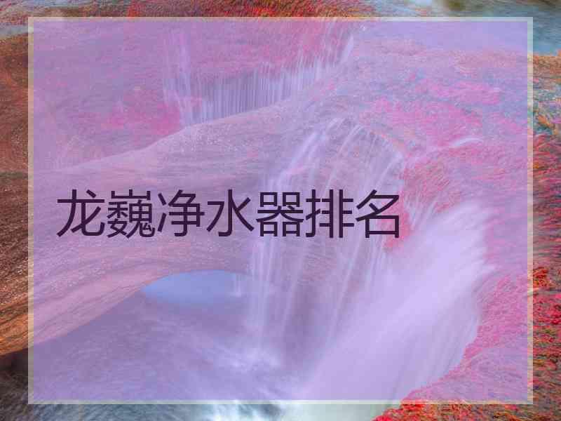 龙巍净水器排名
