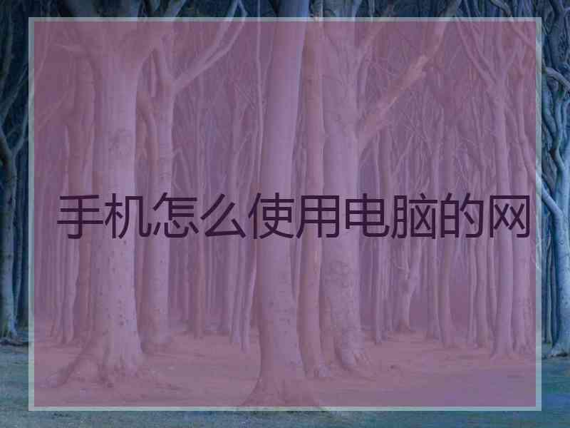 手机怎么使用电脑的网