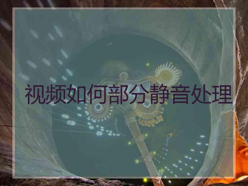视频如何部分静音处理