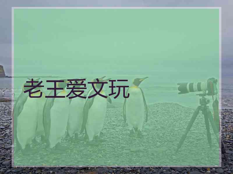 老王爱文玩