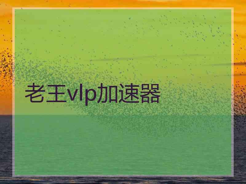 老王vlp加速器