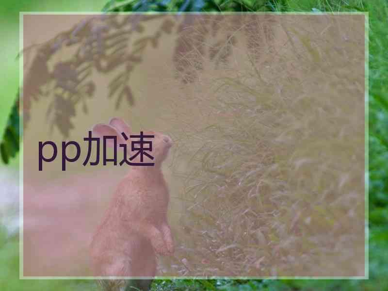 pp加速