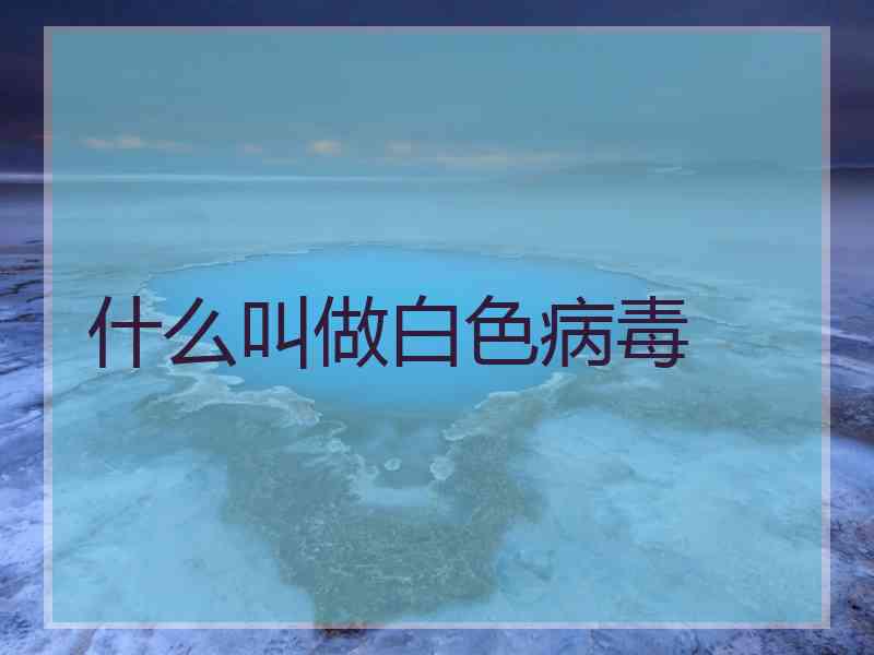 什么叫做白色病毒