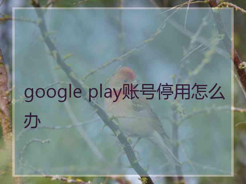 google play账号停用怎么办