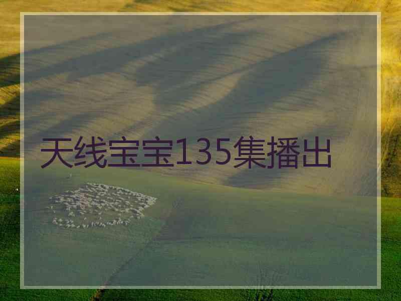 天线宝宝135集播出