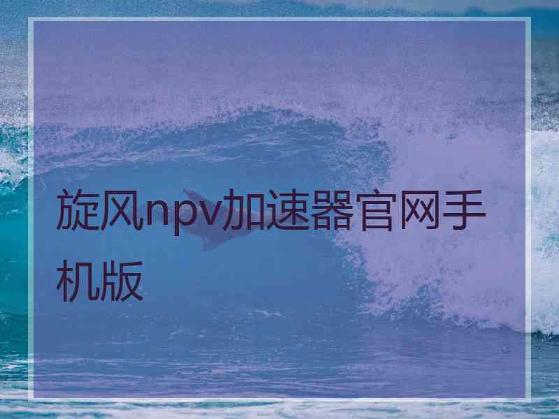 旋风npv加速器官网手机版