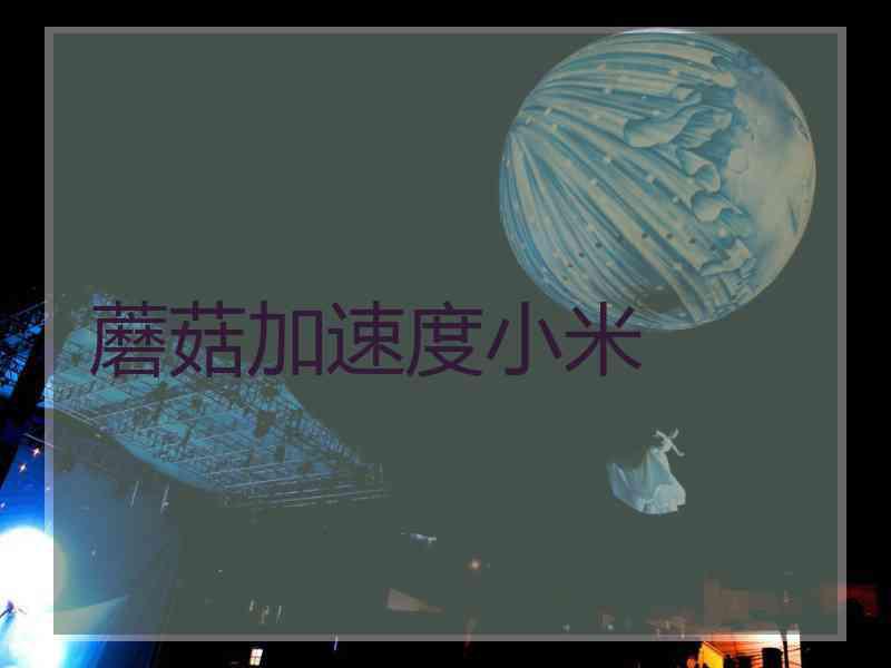 蘑菇加速度小米