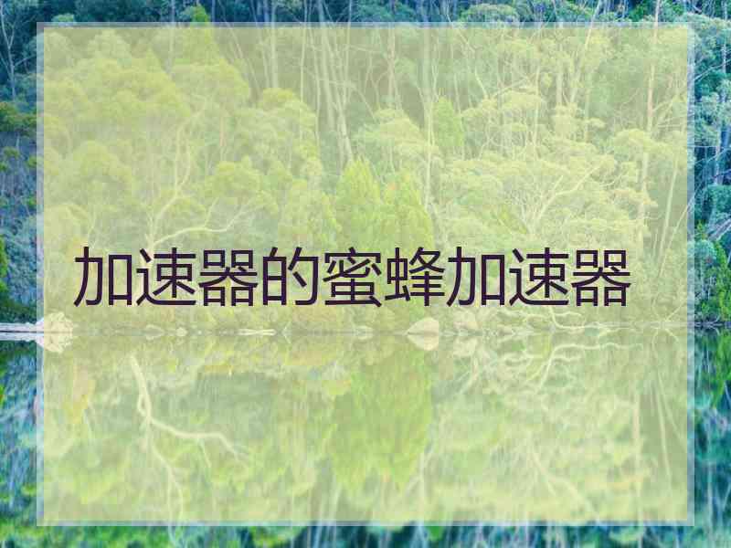 加速器的蜜蜂加速器