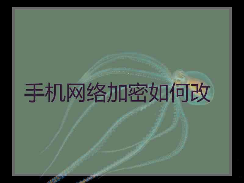 手机网络加密如何改